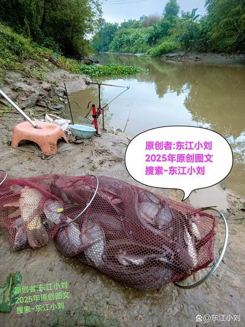 紅頭調魚圖片：潮汕油燜紅血魚