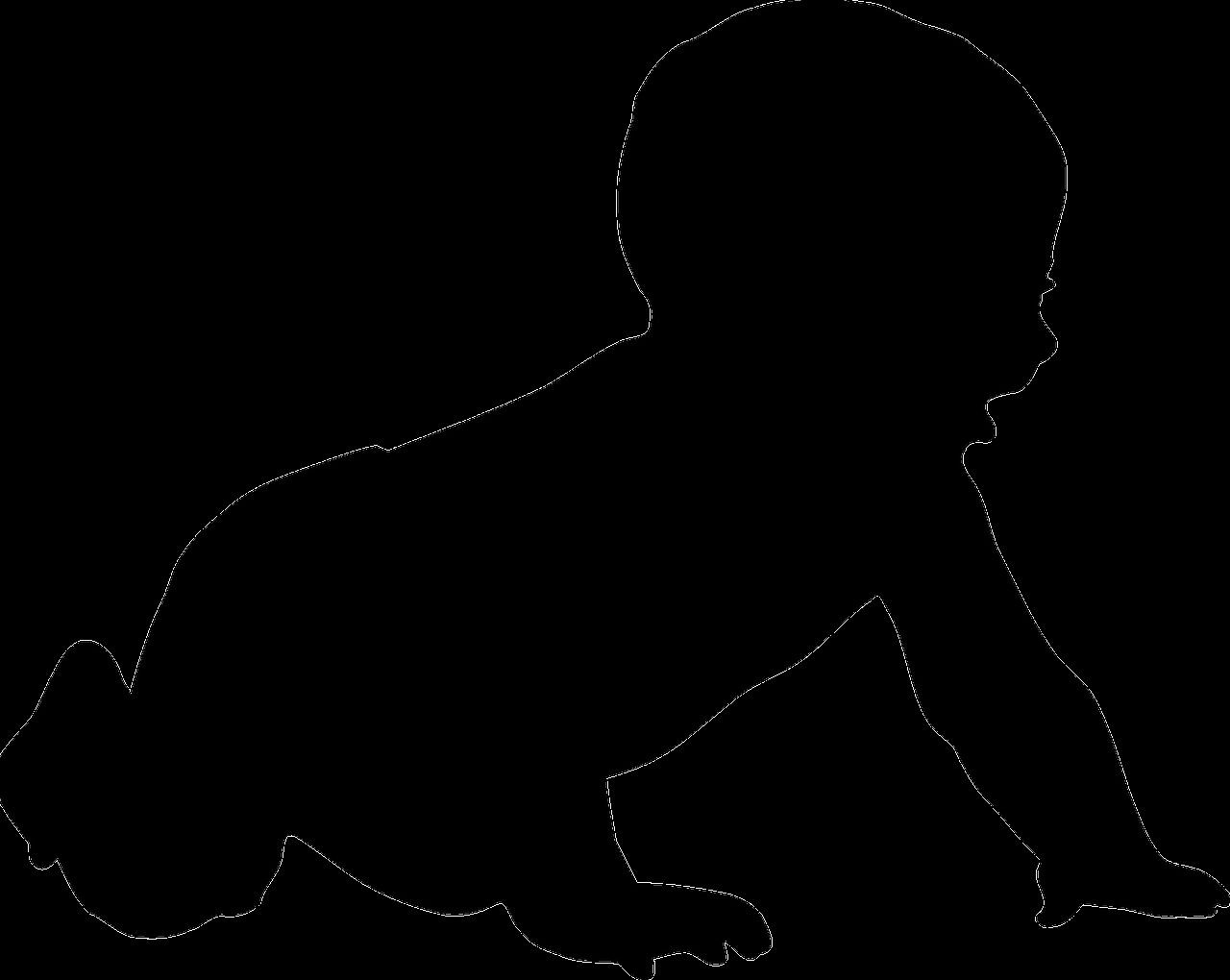 晉中魚(yú)缸維護(hù)：晉中魚(yú)缸全方位維護(hù)指南