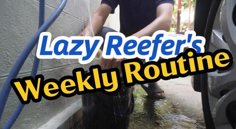 晉中魚(yú)缸維護(hù)：晉中魚(yú)缸全方位維護(hù)指南