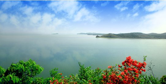 三色魚的原料來自哪個湖：鄱陽湖三色魚原料組合