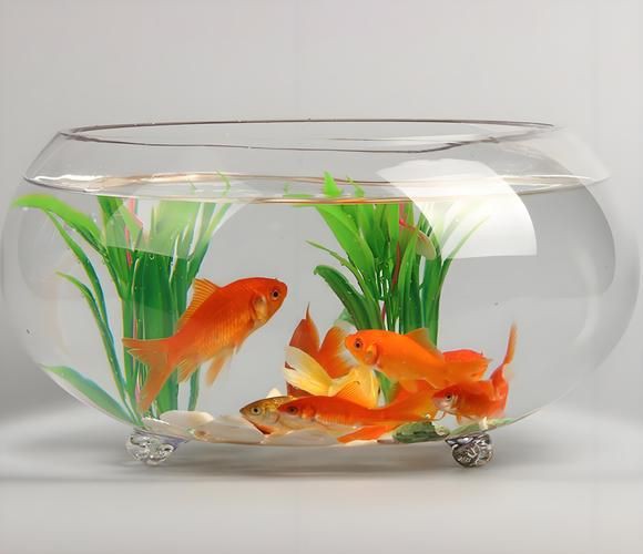 小魚缸圖片大全：奇文趣圖迷你小型魚缸品牌排行榜京東水族箱小缸品牌排行榜