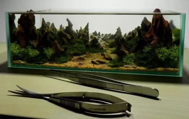 小魚缸圖片大全：奇文趣圖迷你小型魚缸品牌排行榜京東水族箱小缸品牌排行榜