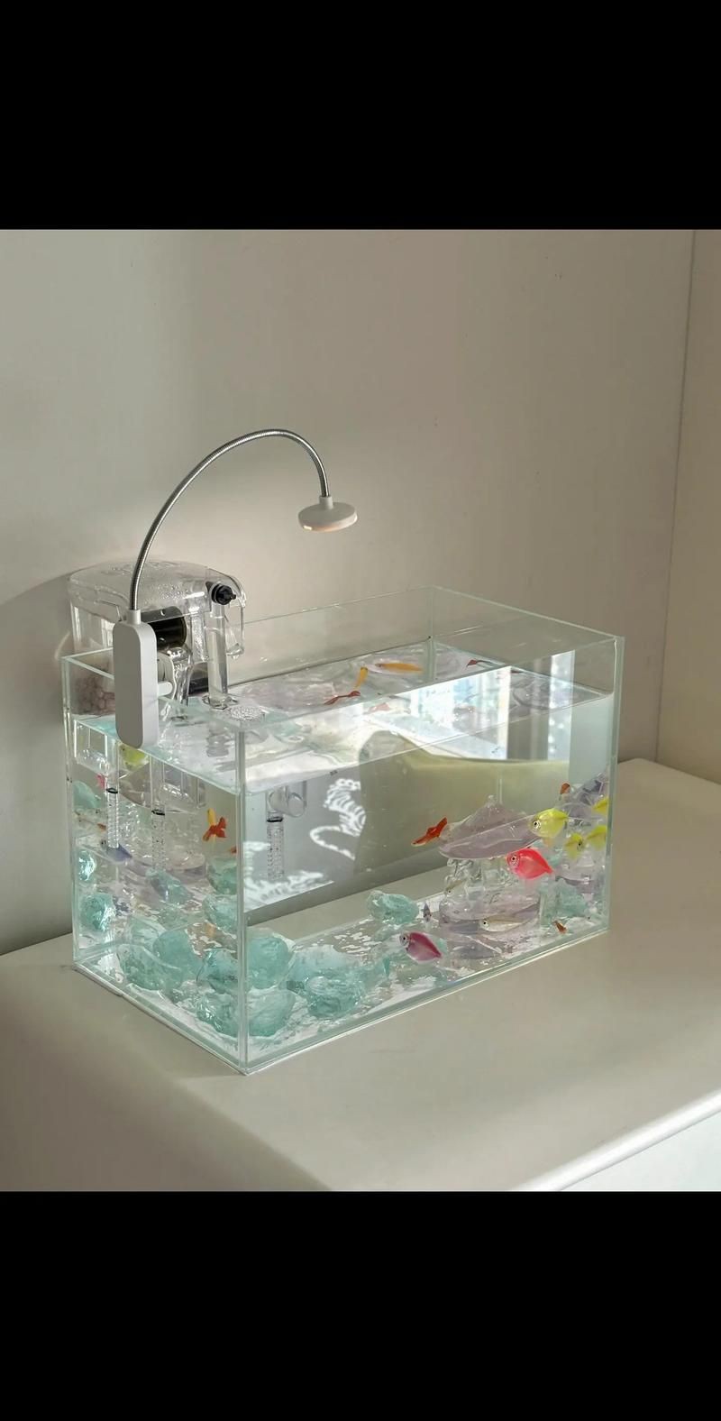 小魚缸圖片大全：奇文趣圖迷你小型魚缸品牌排行榜京東水族箱小缸品牌排行榜
