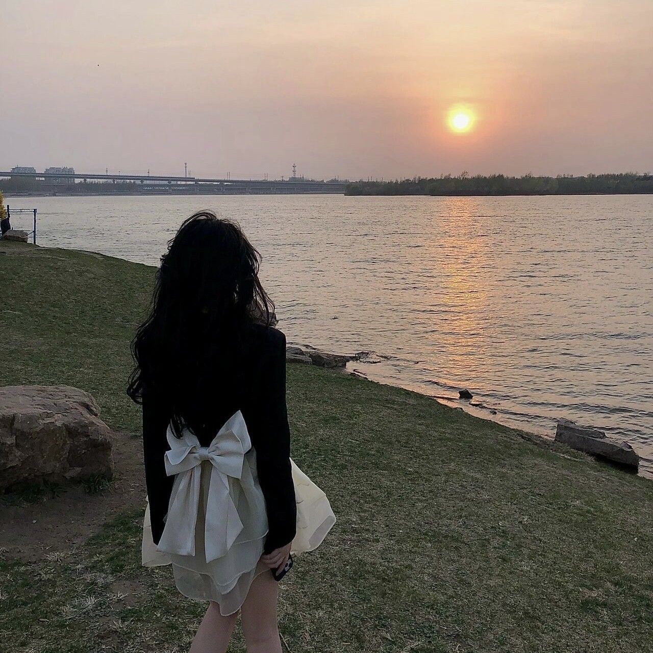 火箭魚能養多大的魚：三間火箭魚飼養全攻略