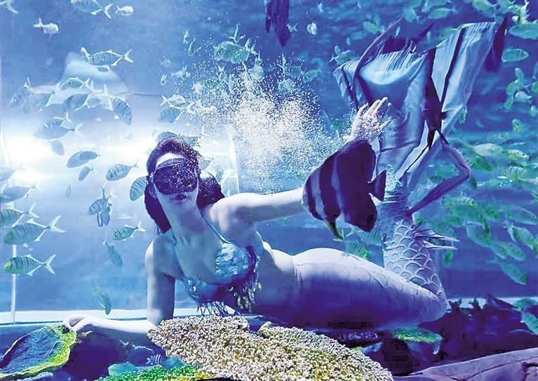 滄州水族館：探秘滄州海洋館：一場奇妙的海洋之旅 滄州水族館：探秘滄州海洋館：一場奇妙的海洋之旅 全國水族館企業(yè)名錄 第1張