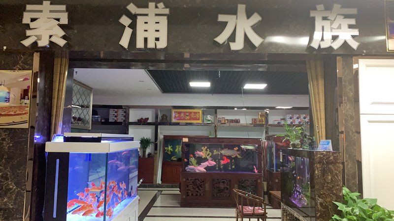 武漢魚缸定做：關于武漢魚缸定做的綜合信息整理，涵蓋服務商選擇、定制流程等內容