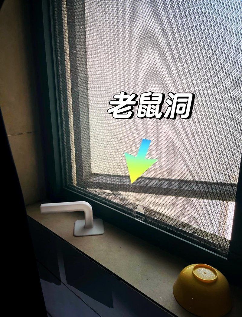 滅鼠公司是當場滅鼠嗎：滅鼠公司是怎么滅鼠的