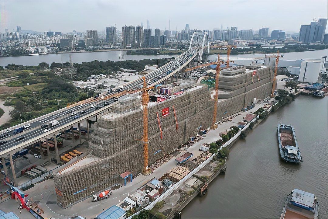 廣州羅漢魚市場一覽表：2018廣州羅漢魚市場綜合調研報告
