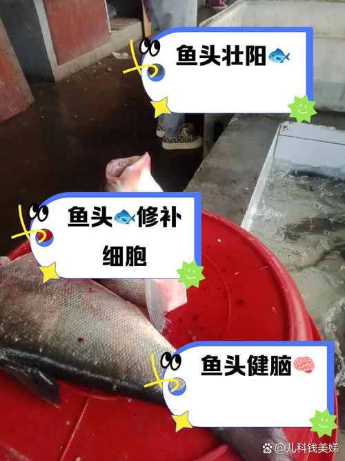 上供魚頭朝向正確圖：上供時魚頭朝向的禮儀規范