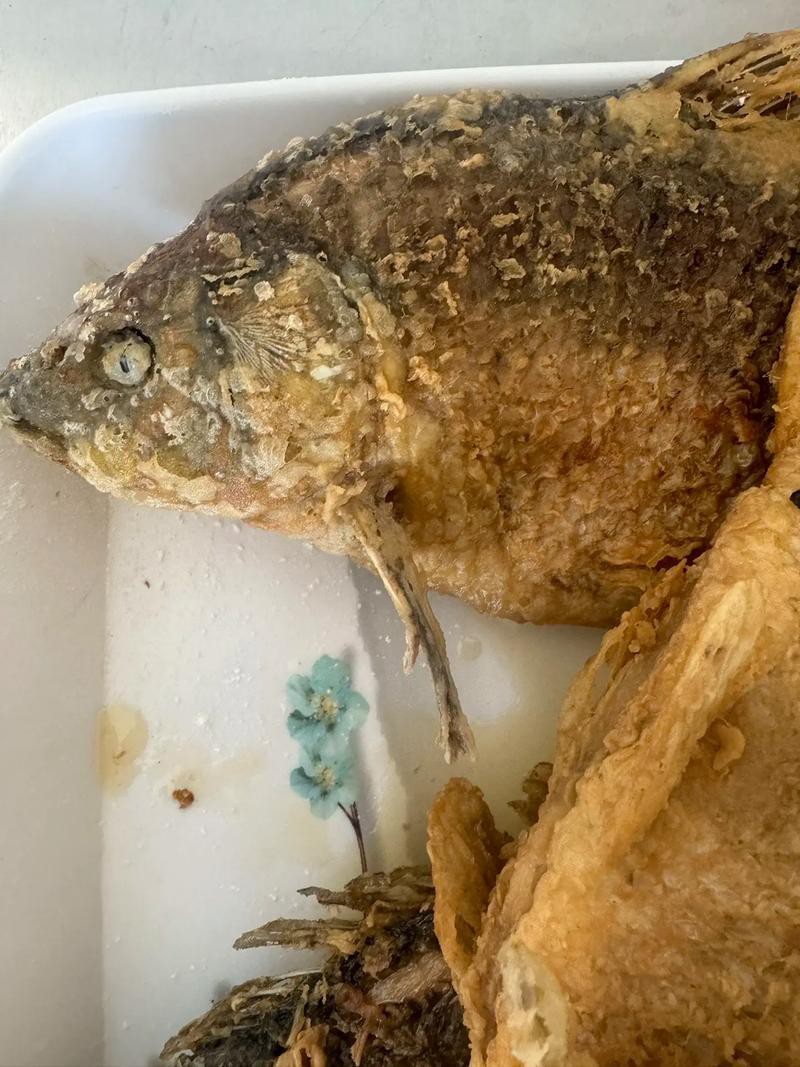 上供魚頭朝向正確圖：上供時魚頭朝向的禮儀規范