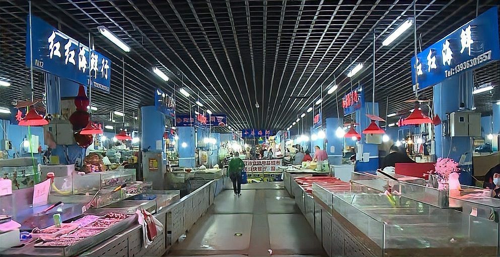 三道鱗魚市場多少錢一斤：2025年三道鱗魚價格現狀及影響因素分析