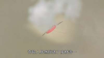 激戰奇輪第一季免費觀看：《激戰奇輪》第一季有哪些角色