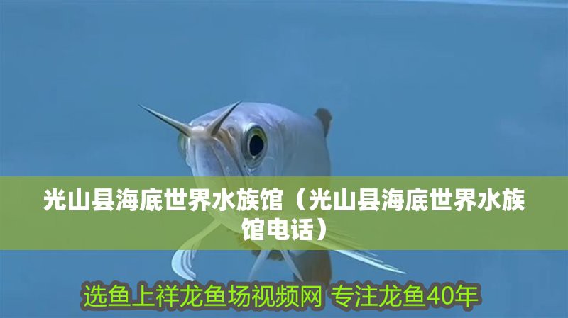光山水族店：光山縣和平水族館有哪些特色