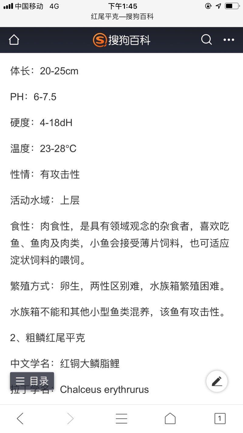 紅尾平克最怕三個東西：紅尾平克養護心得
