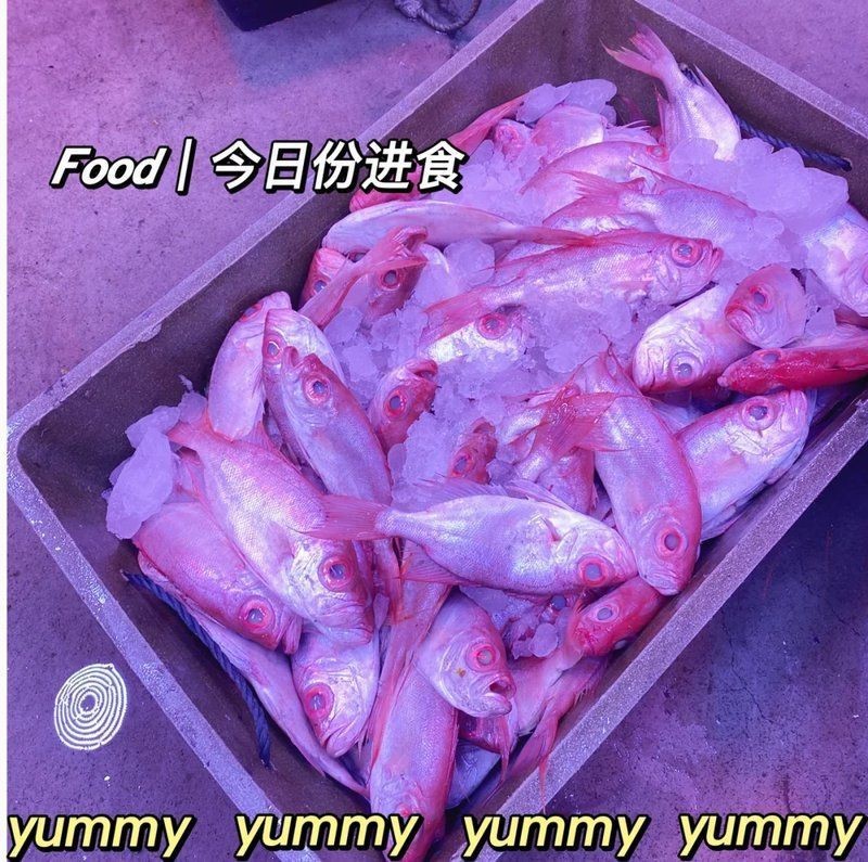 汕頭水族批發市場：汕頭水族批發市場的發展