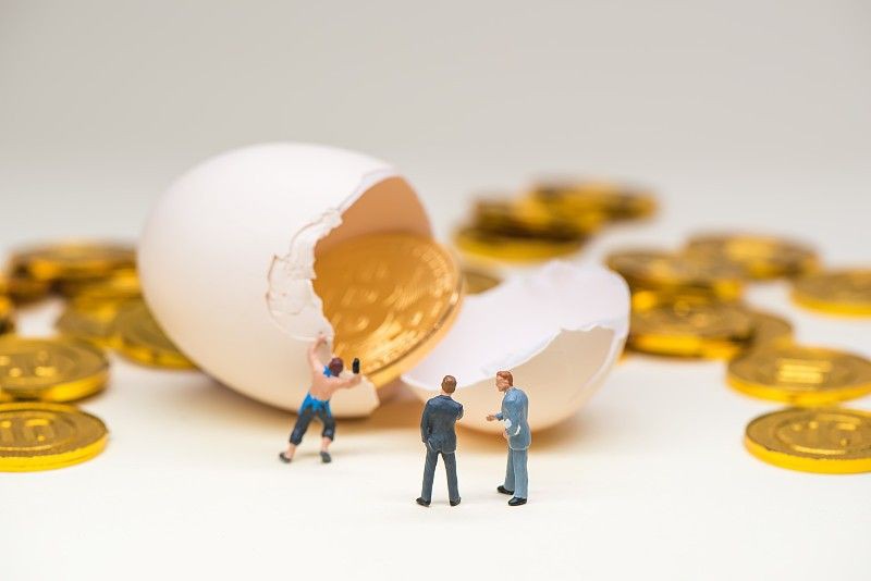 汕頭水族批發市場：汕頭水族批發市場的發展