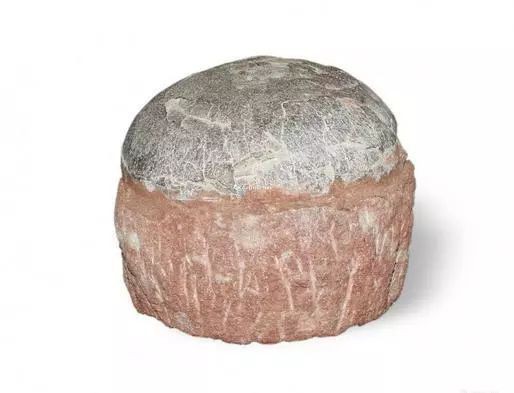 恐龍蛋化石的最新價格:恐龍蛋化石價格大揭秘 龍魚百科 第6張 恐龍蛋化石的最新價格:恐龍蛋化石價格大揭秘 恐龍蛋化石的最新價格:恐龍蛋化石價格大揭秘 龍魚百科 第6張