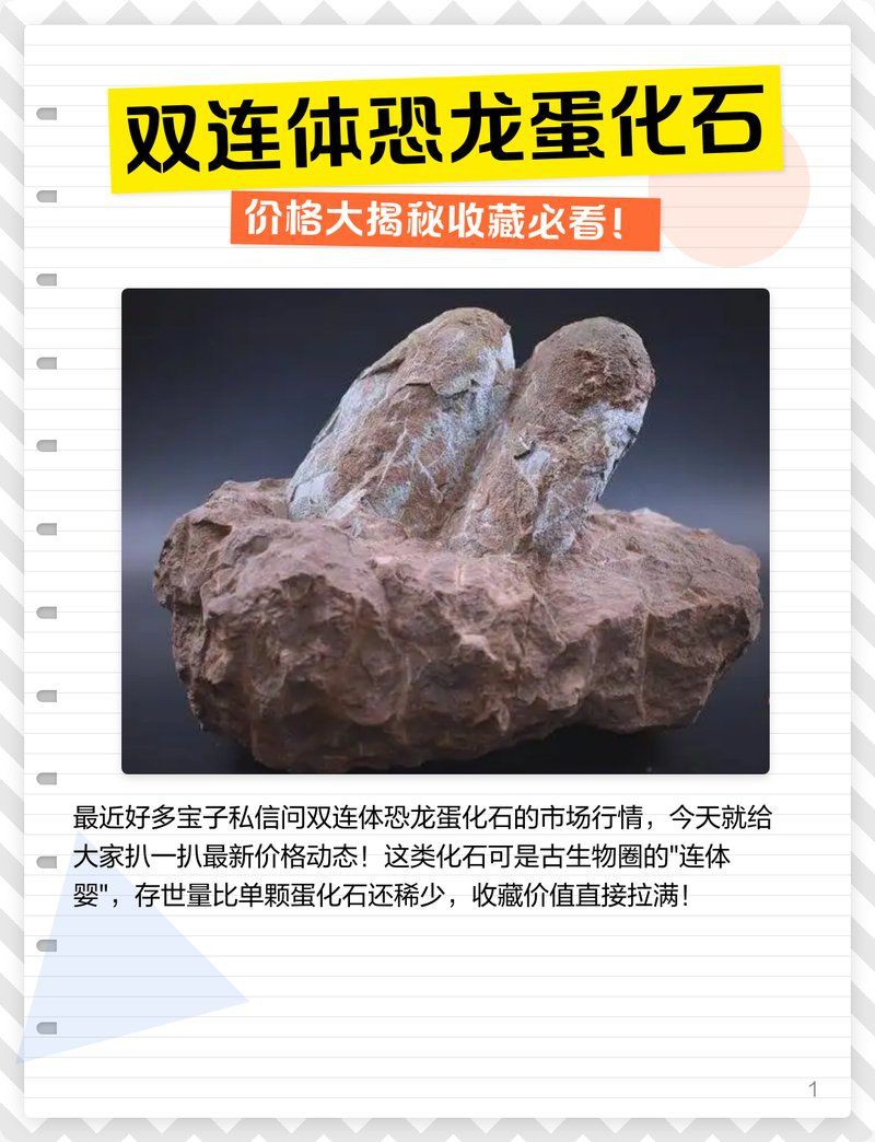 恐龍蛋化石的最新價格:恐龍蛋化石價格大揭秘 龍魚百科 第5張 恐龍蛋化石的最新價格:恐龍蛋化石價格大揭秘 恐龍蛋化石的最新價格:恐龍蛋化石價格大揭秘 龍魚百科 第5張