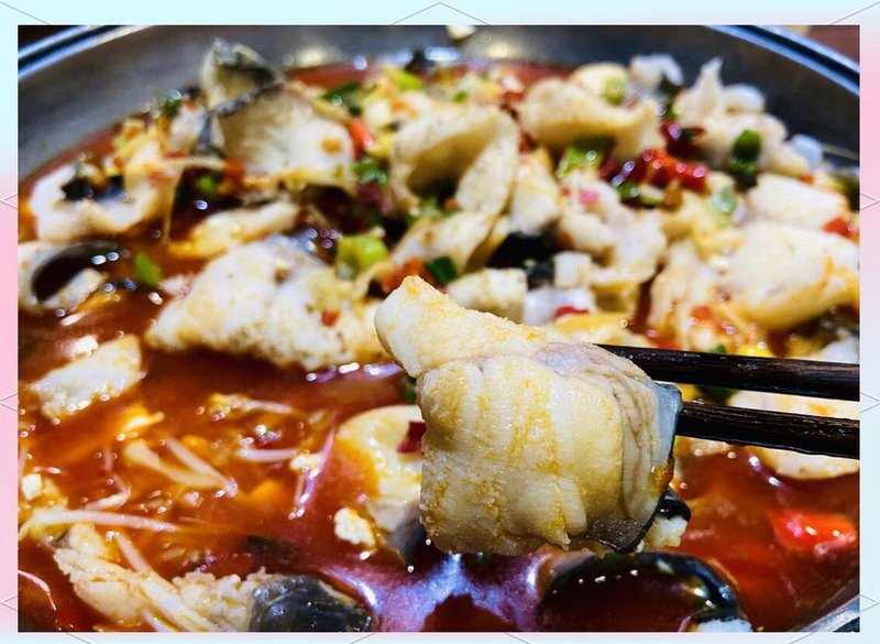 克拉瑪依龍魚店：克拉瑪依的魚店探店指南來啦!
