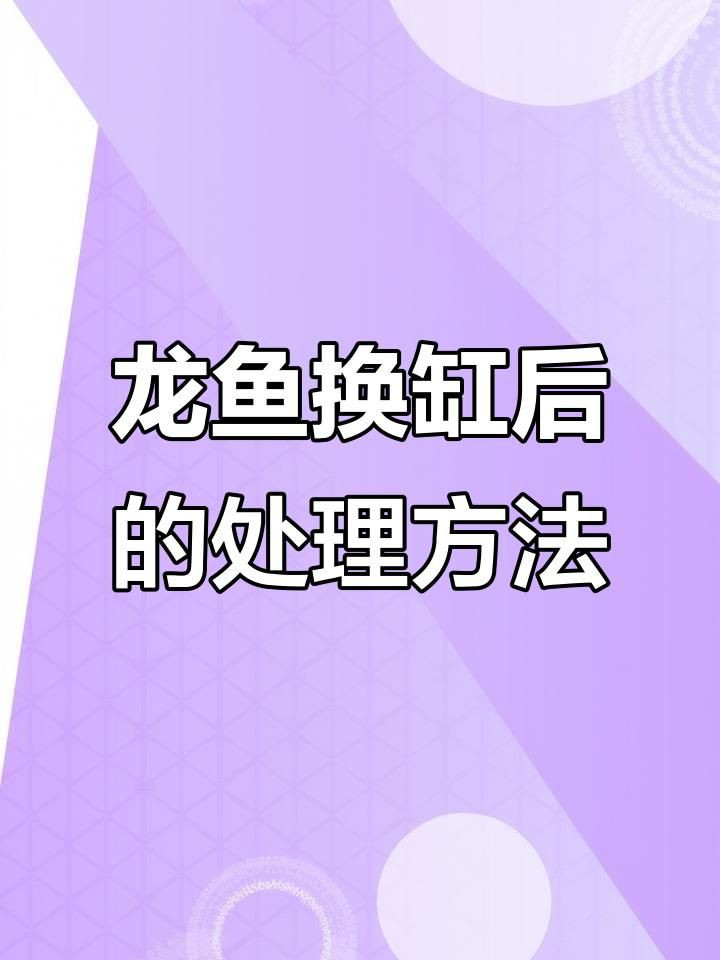 如何預(yù)防龍魚水霉病的發(fā)生？：智能模式回答完成調(diào)用工具：百度健康預(yù)防龍魚水霉病