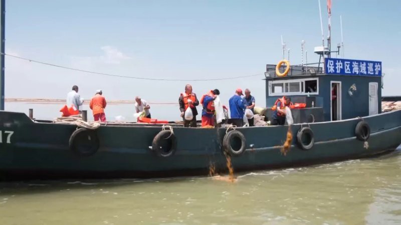 利津龍魚(yú)店：利津縣有沒(méi)有龍魚(yú)店