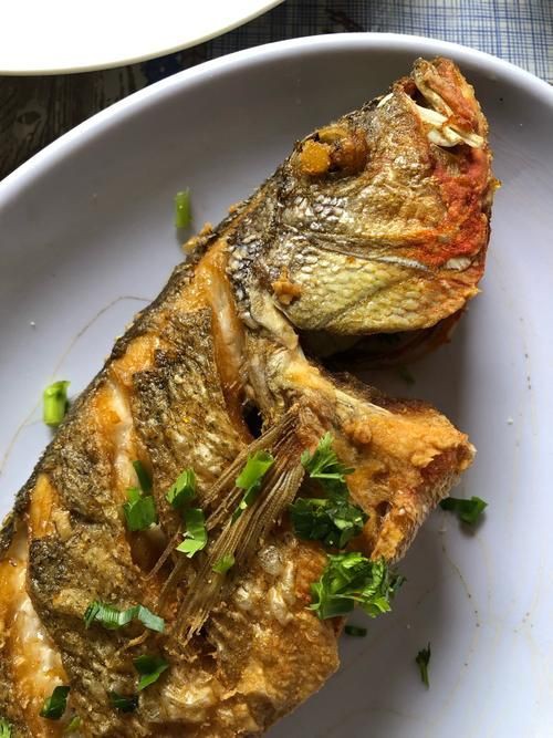 孔雀鱸魚圖片：中國釣魚人孔雀鱸（cichlaocellaris）