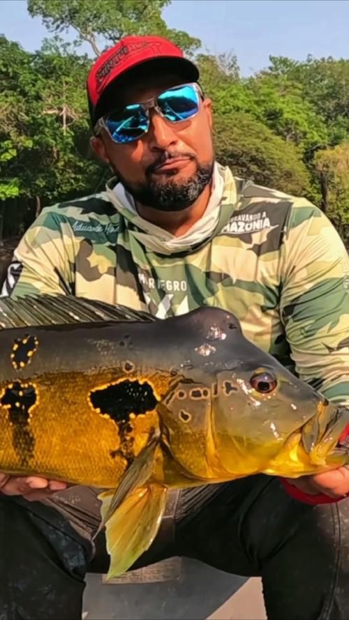 孔雀鱸魚圖片：中國釣魚人孔雀鱸（cichlaocellaris）