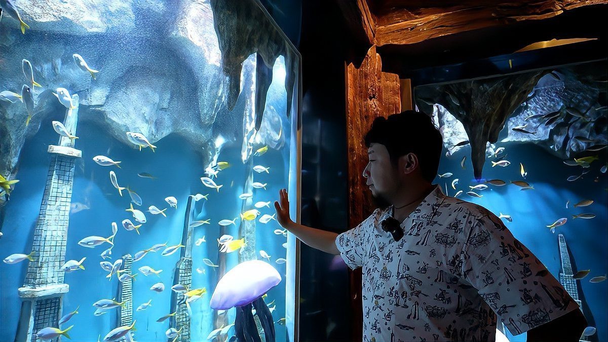 仙游水族店：仙游地區的水族店經營