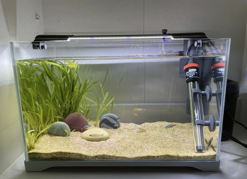 余慶水族店：二卡拉馬佐夫兄弟的鄰居