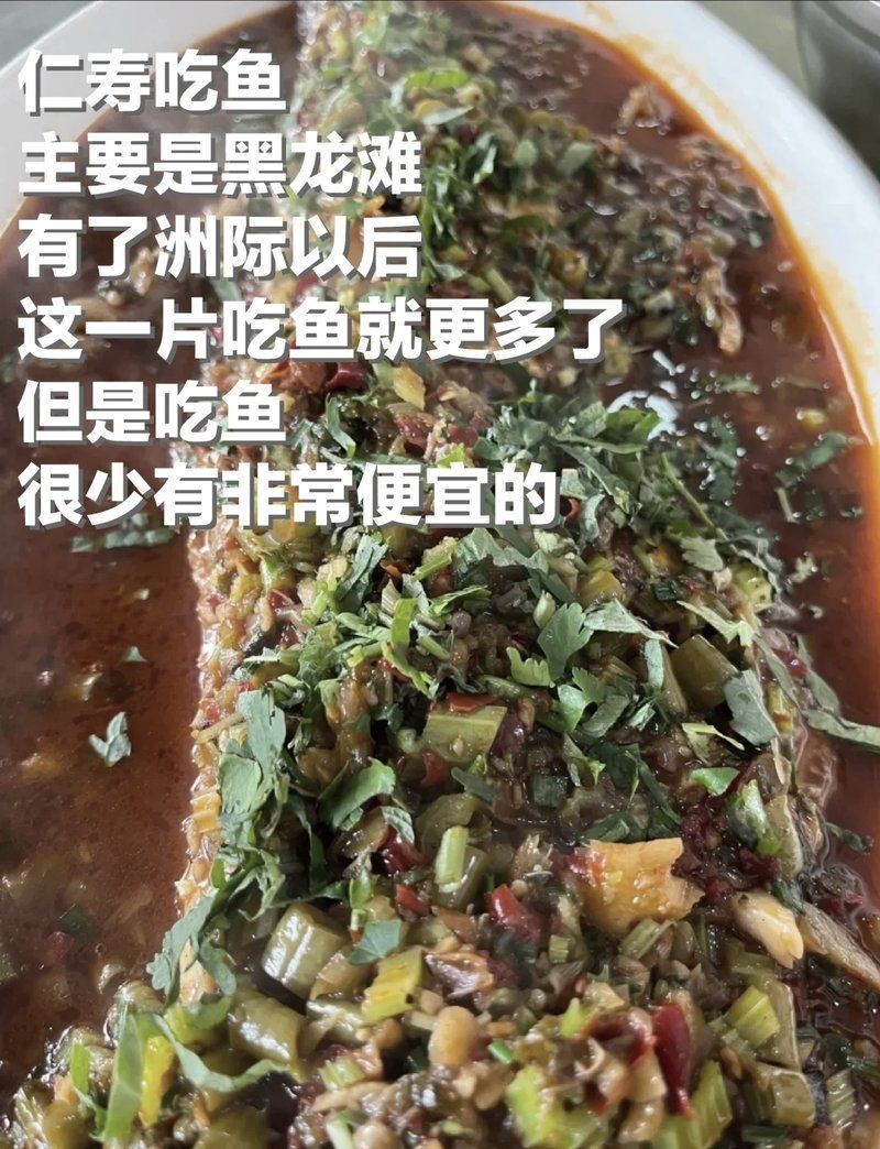 眉山龍魚店：關于眉山地區龍魚及相關餐飲、養殖產業綜合信息整理分析