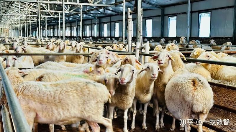 牧場繁殖周工作計(jì)劃：北京亞禾營養(yǎng)高新技術(shù)有限公司官網(wǎng)規(guī)模化牧場繁殖指標(biāo)分享