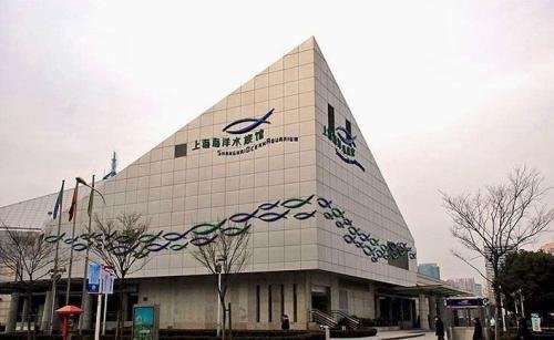 嘉定水族店：嘉定鵬新海洋世界有哪些優惠活動