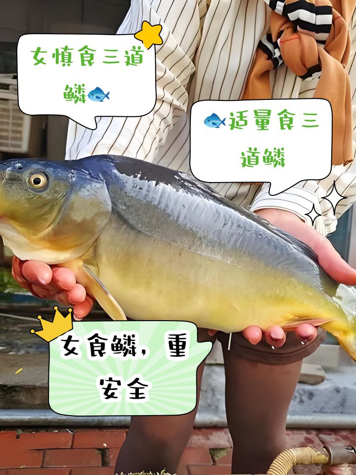 三道鱗為什么不建議吃：\
