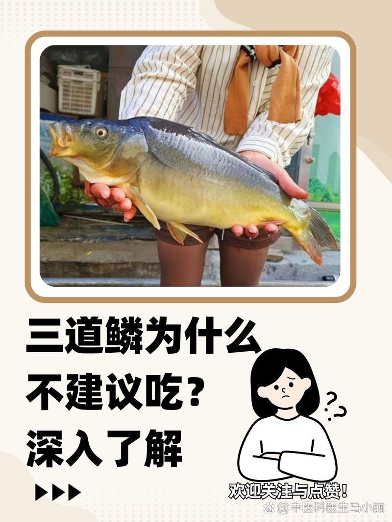 三道鱗為什么不建議吃：\