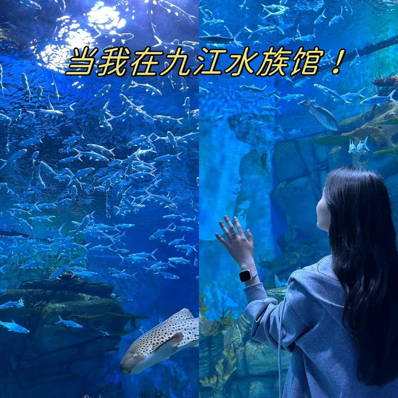 九江水族店：九江水族館體系主要包含以下幾個(gè)特色場(chǎng)館