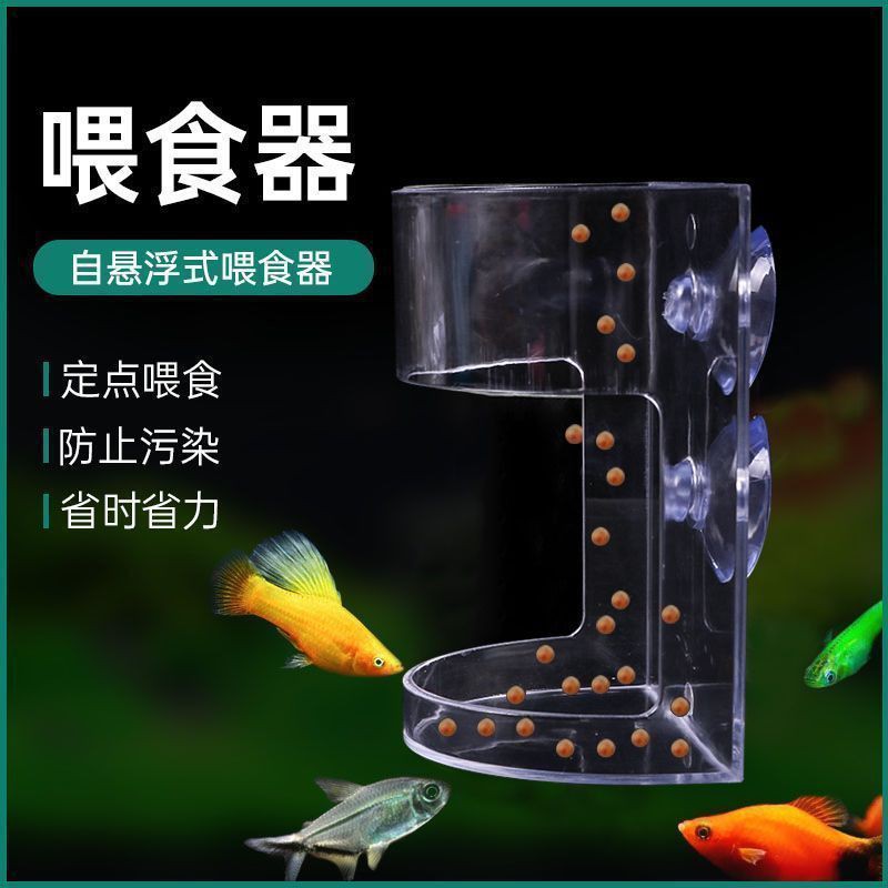 孔雀龍魚喂食勺：孔雀魚怎么養到爆缸
