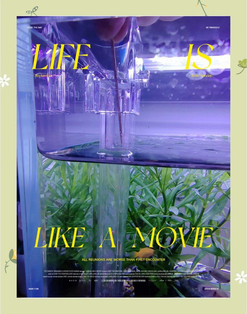 孔雀龍魚喂食勺：孔雀魚怎么養到爆缸