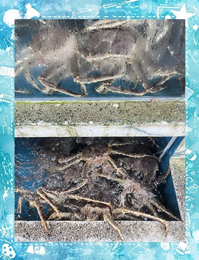 舟山魚(yú)缸批發(fā)市場(chǎng)：舟山國(guó)際水產(chǎn)城——中國(guó)第一魚(yú)市