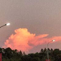 舟山魚(yú)缸批發(fā)市場(chǎng)：舟山國(guó)際水產(chǎn)城——中國(guó)第一魚(yú)市