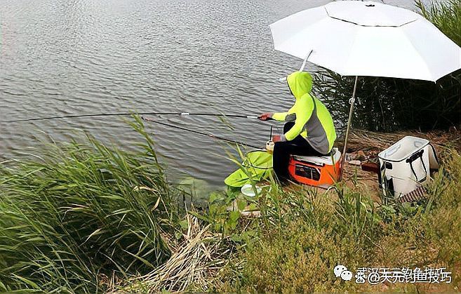 二條魚最旺的5個地方：二條魚最易聚集的5類旺釣點及其詳細分析