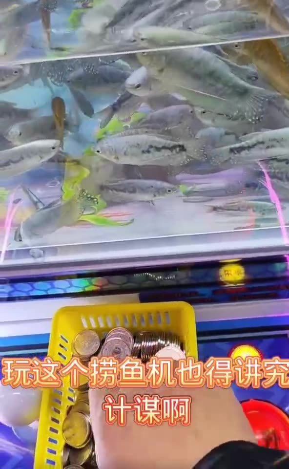 撈魚俠機(jī)器多少錢一臺(tái)：撈金魚撈蝦撈烏龜,新奇玩法娛樂熱潮