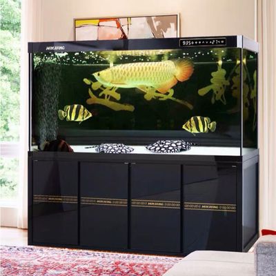 龍魚缸圖片(龍魚缸圖片展示) 魚缸百科 第4張 龍魚缸圖片(龍魚缸圖片展示) 龍魚缸圖片(龍魚缸圖片展示) 魚缸百科 第4張