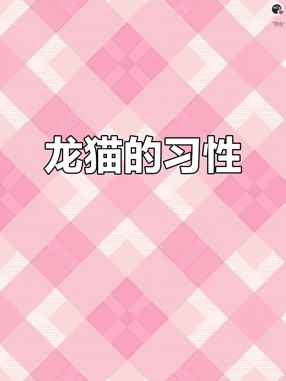 放風(fēng)時(shí)如何確保龍貓安全？【如何帶龍貓放風(fēng)】