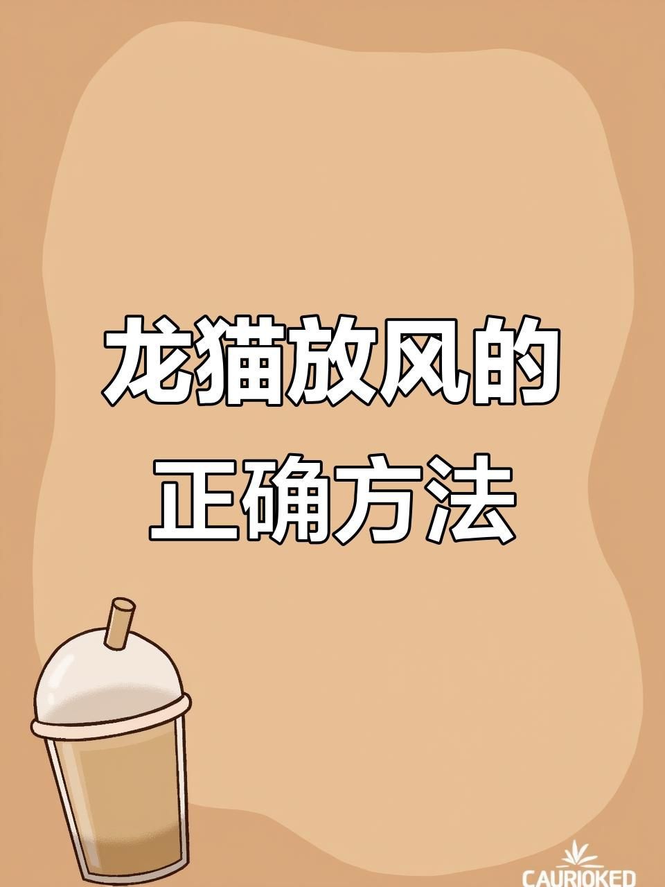 放風(fēng)時(shí)如何確保龍貓安全？【如何帶龍貓放風(fēng)】