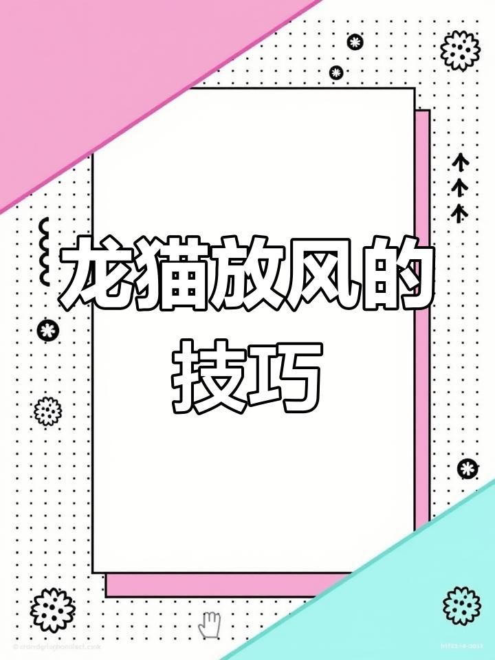 放風(fēng)時(shí)如何確保龍貓安全？【如何帶龍貓放風(fēng)】