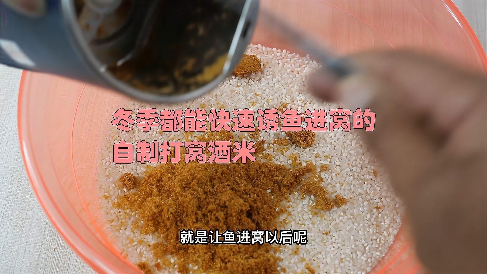 什么東西誘魚最快【小劉講釣魚3分鐘學會快速誘魚,掌握黑坑鯉釣技巧】