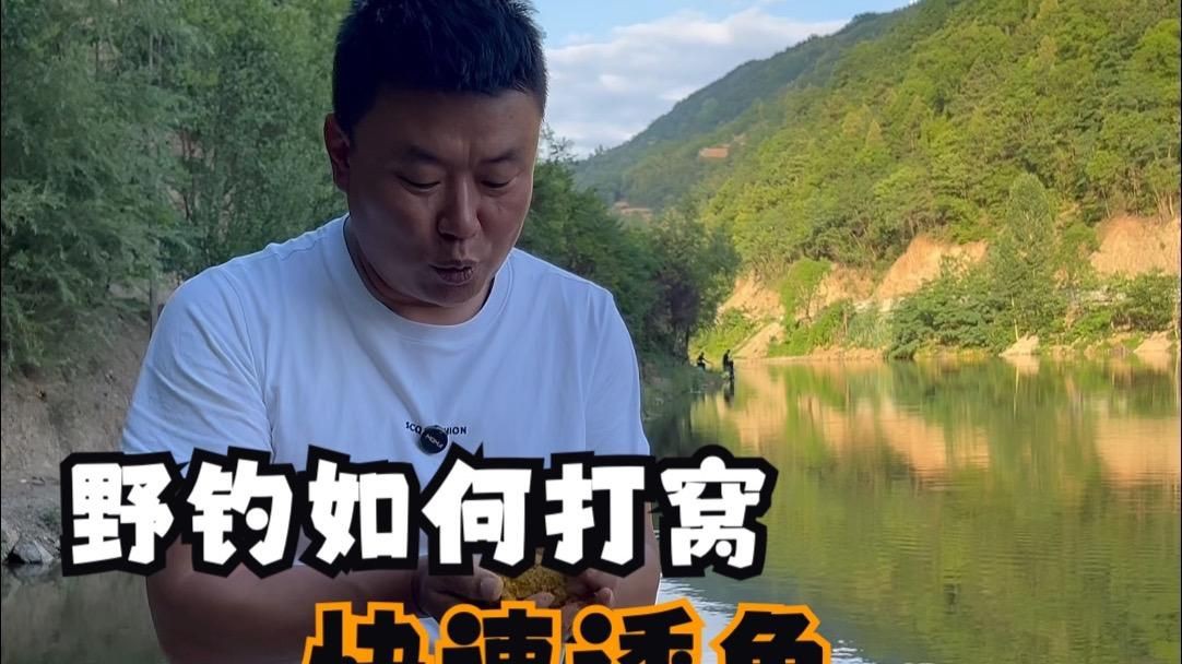 什么東西誘魚最快【小劉講釣魚3分鐘學會快速誘魚,掌握黑坑鯉釣技巧】