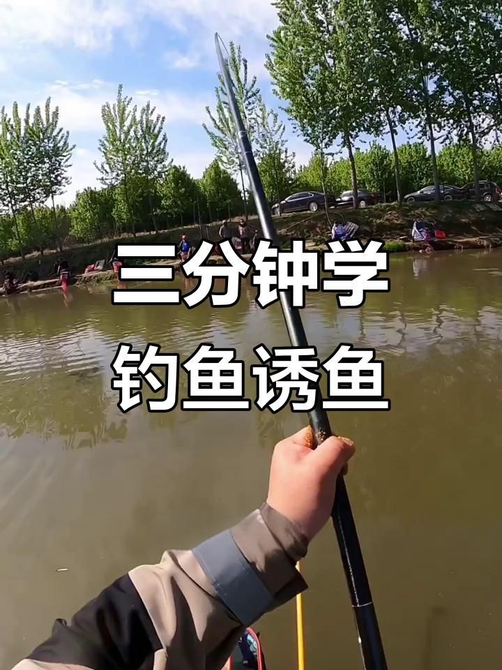 什么東西誘魚最快【小劉講釣魚3分鐘學會快速誘魚,掌握黑坑鯉釣技巧】