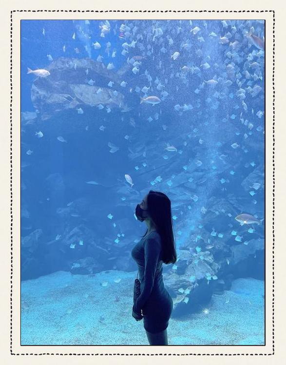 臺灣水族店【臺北水族店有哪些特色產品臺灣水族產業未來發展趨勢】