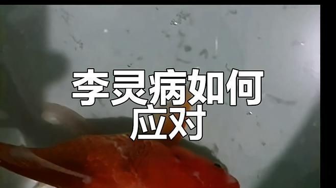 如何早期發(fā)現(xiàn)魚立鱗??？【智能模式回答完成工具：百度健康魚立鱗病的早期發(fā)現(xiàn)】